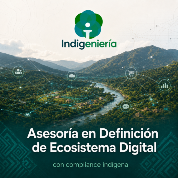 Asesoría en Definición de Ecosistema Digital
